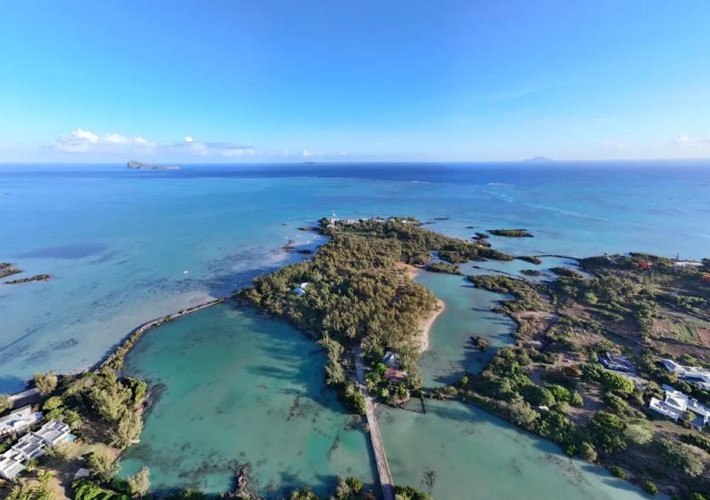 butte-a-lherbe-in-mauritius-.webp