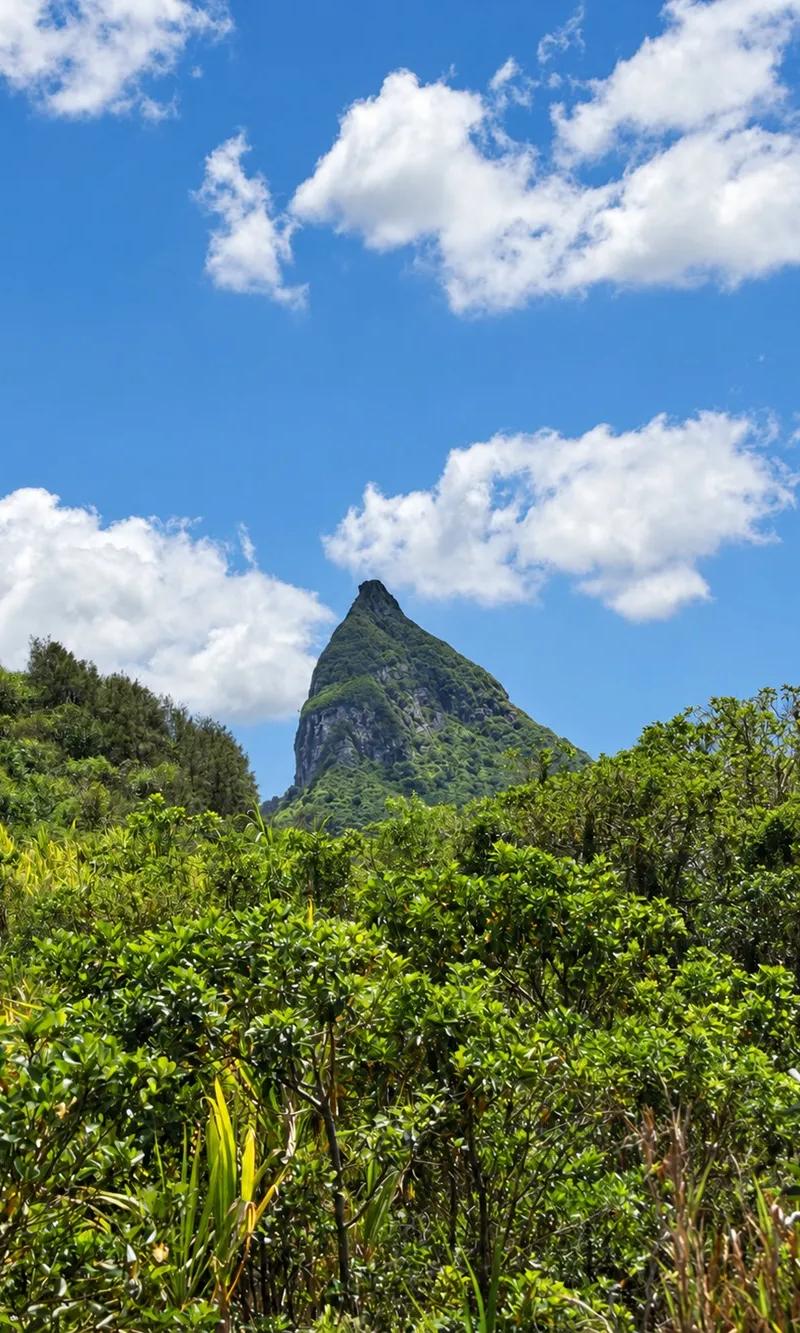 central-plains-in-view-at-le-pouce--mauritius..webp