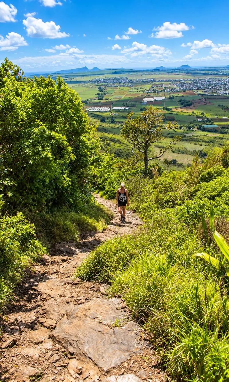 climbing-through-the-trees-at-le-pouce--mauritius..webp