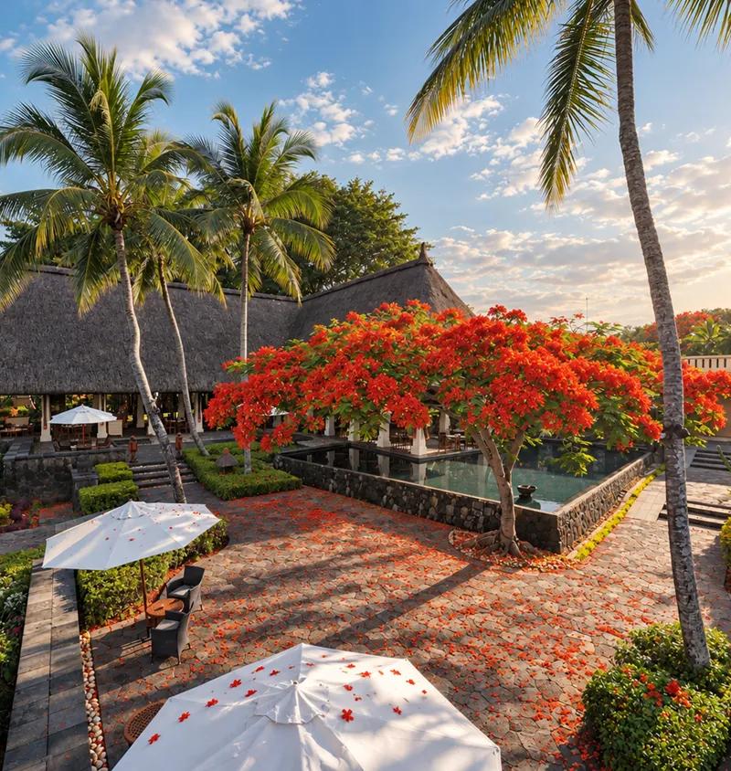 close-up-of-red-flamboyant-flowers-blooming-during-the-warm-season-in-mauritius.webp