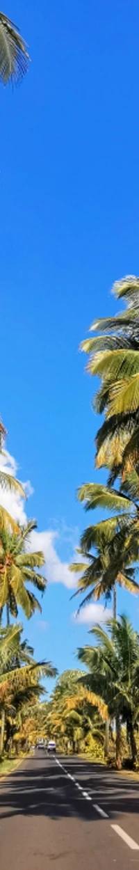 The Ultimate Mauritius Self-Drive Itinerary for 2026