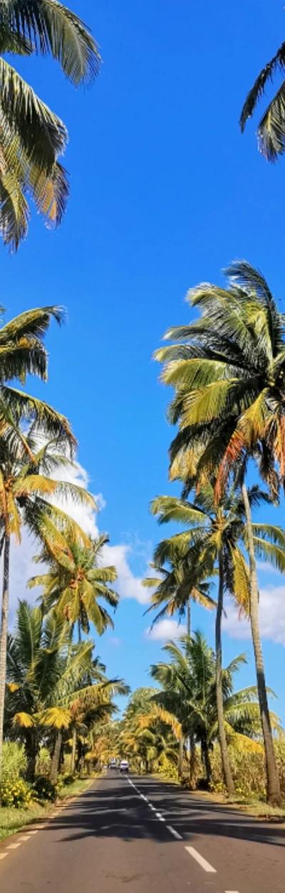 The Ultimate Mauritius Self-Drive Itinerary for 2026