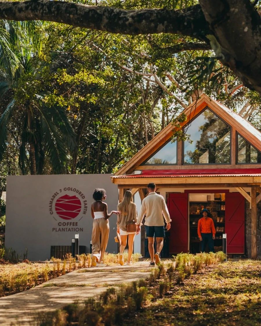 Chamarel Coffee Plantation and Café, South West Mauritius