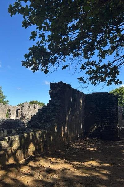 Frederik Hendrik Museum Mauritius Beach photo 8