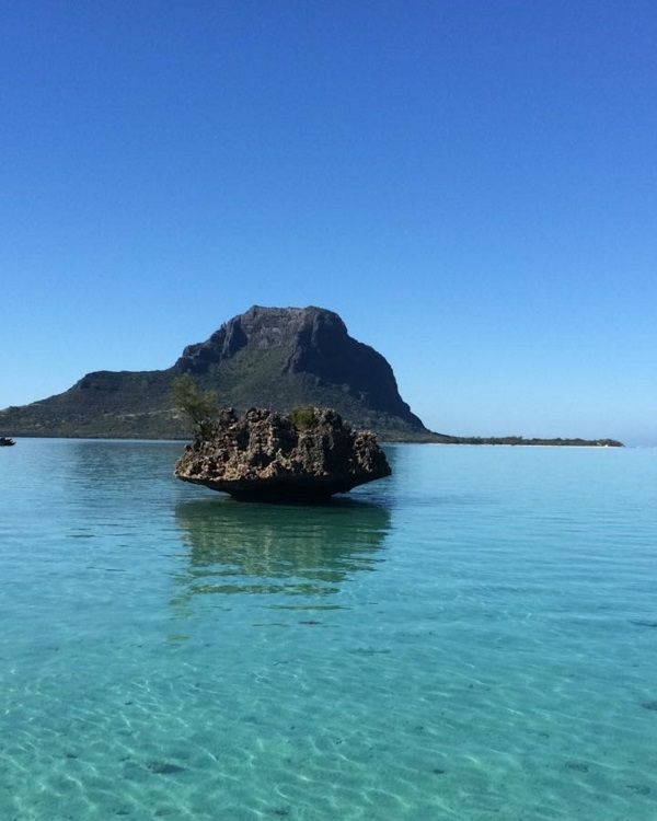 Ile aux Benitiers image 2