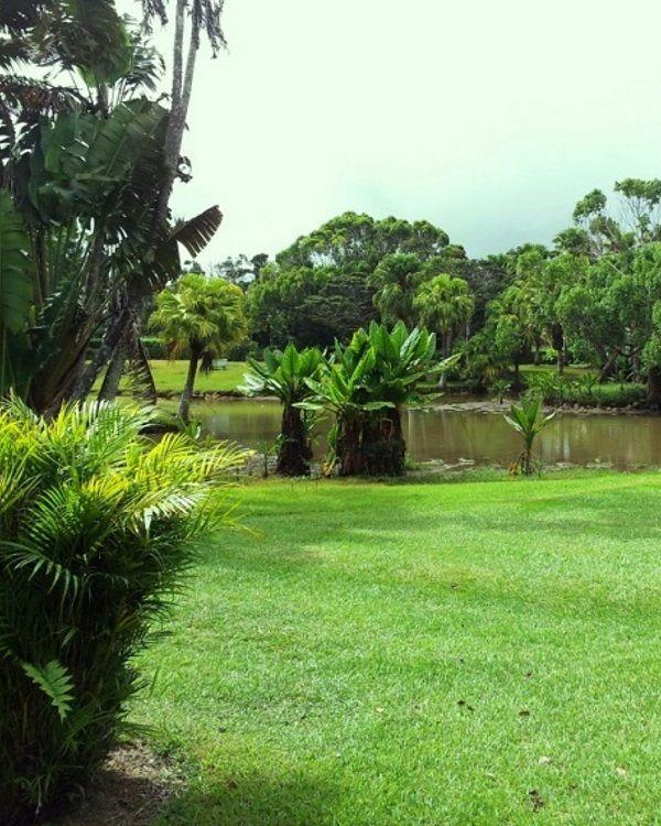 Curepipe Botanical Garden