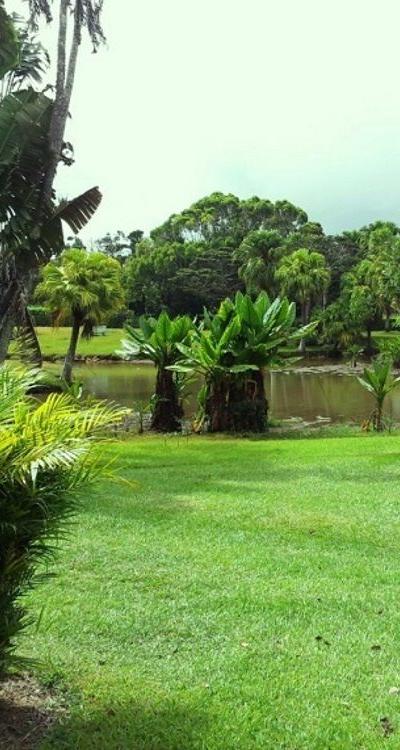 Curepipe Botanical Garden Beach photo 1