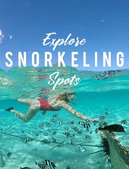 Best Snorkelling Spots in Mauritius