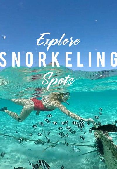 Best Snorkelling Spots in Mauritius