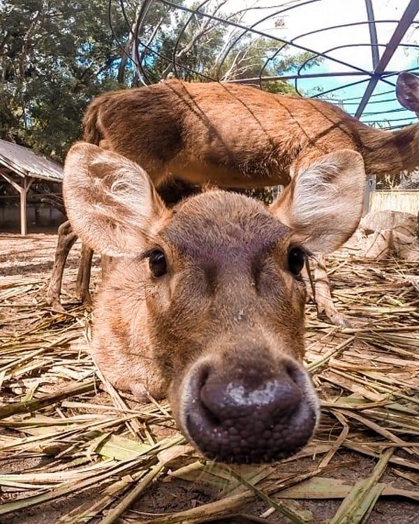 La Vanille Nature Park