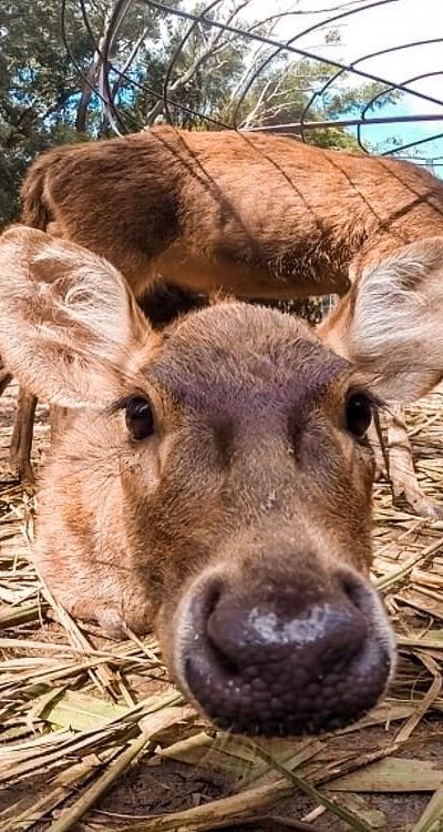La Vanille Nature Park Beach photo 1