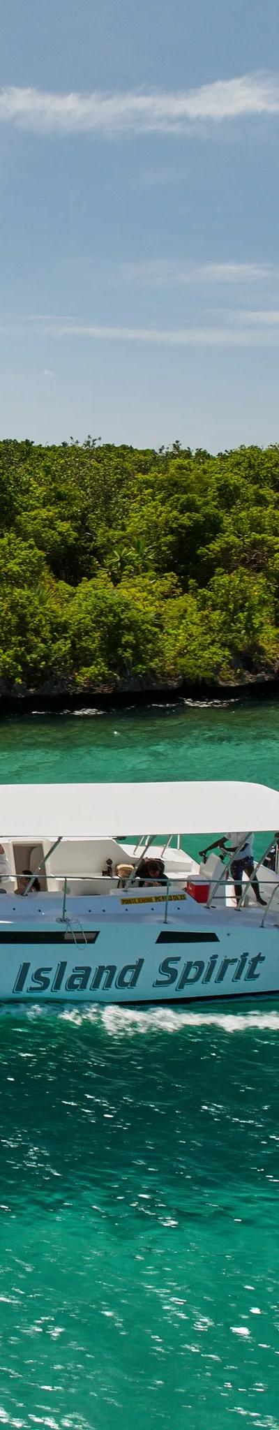 Discovery of the South East Lagoon onboard a Private Power Catamaran Beach photo 2