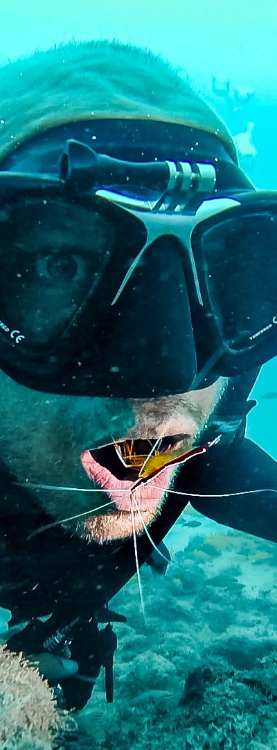 Scuba Diving - Various Location Beach photo 7