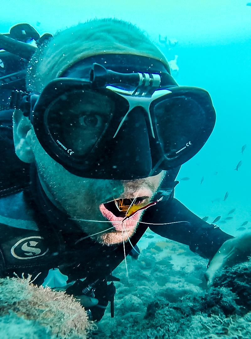 diving-with-fish-2.jpg
