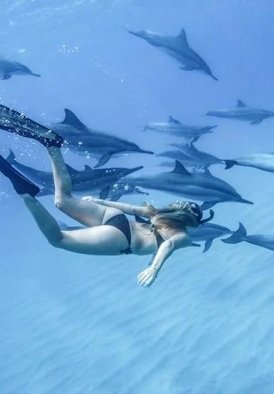 Nager avec les dauphins - Côte ouest Beach photo 5