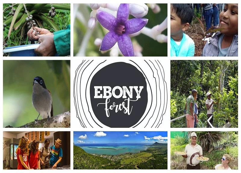 Ebony Forest Reserve, South West Mauritius