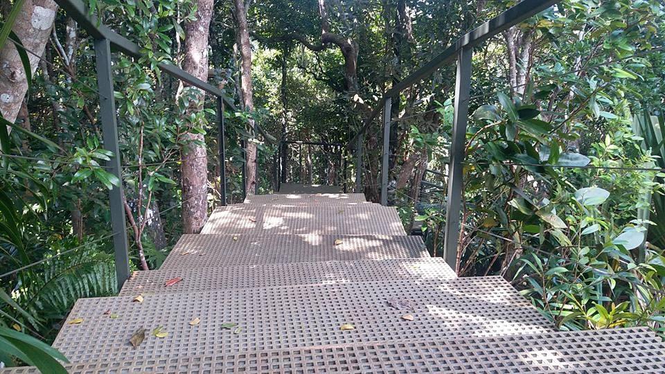 Ebony Forest Reserve Beach photo 4