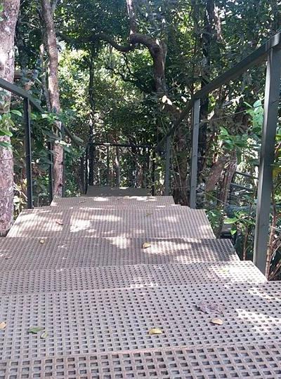 Ebony Forest Reserve Beach photo 4