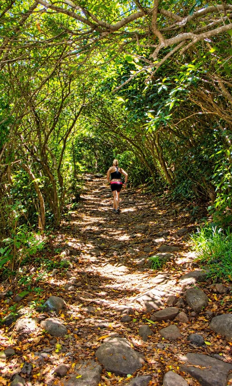 entering-the-forest-at-le-pouce--mauritius..webp
