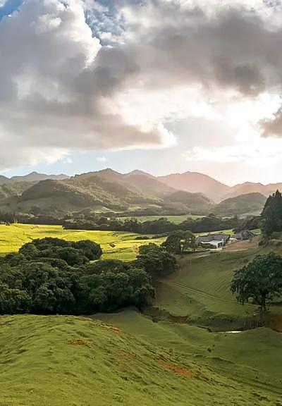 Nature Reserves and Parks in Mauritius: A Local Guide to the Island’s Wild Side