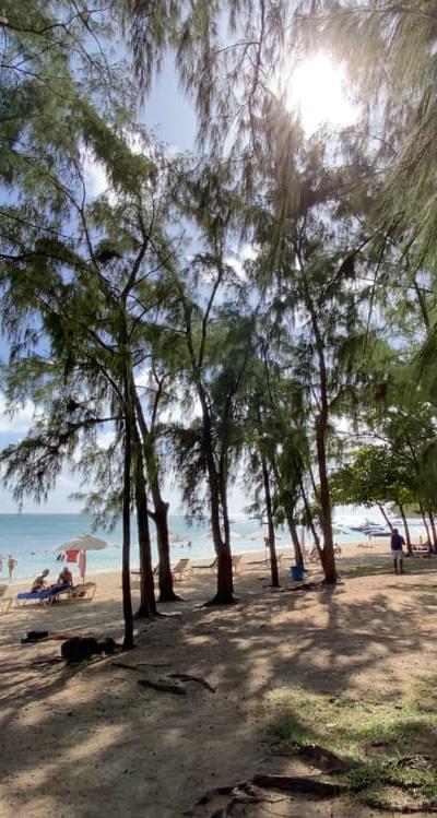 Flic en Flac Beach photo 4