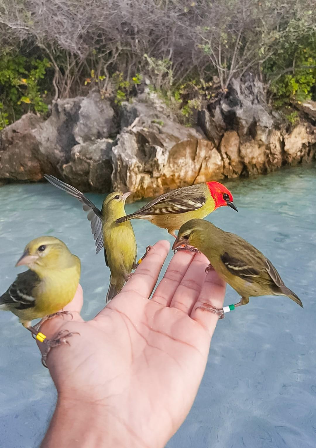 follow-me-mauritius-style.jpg