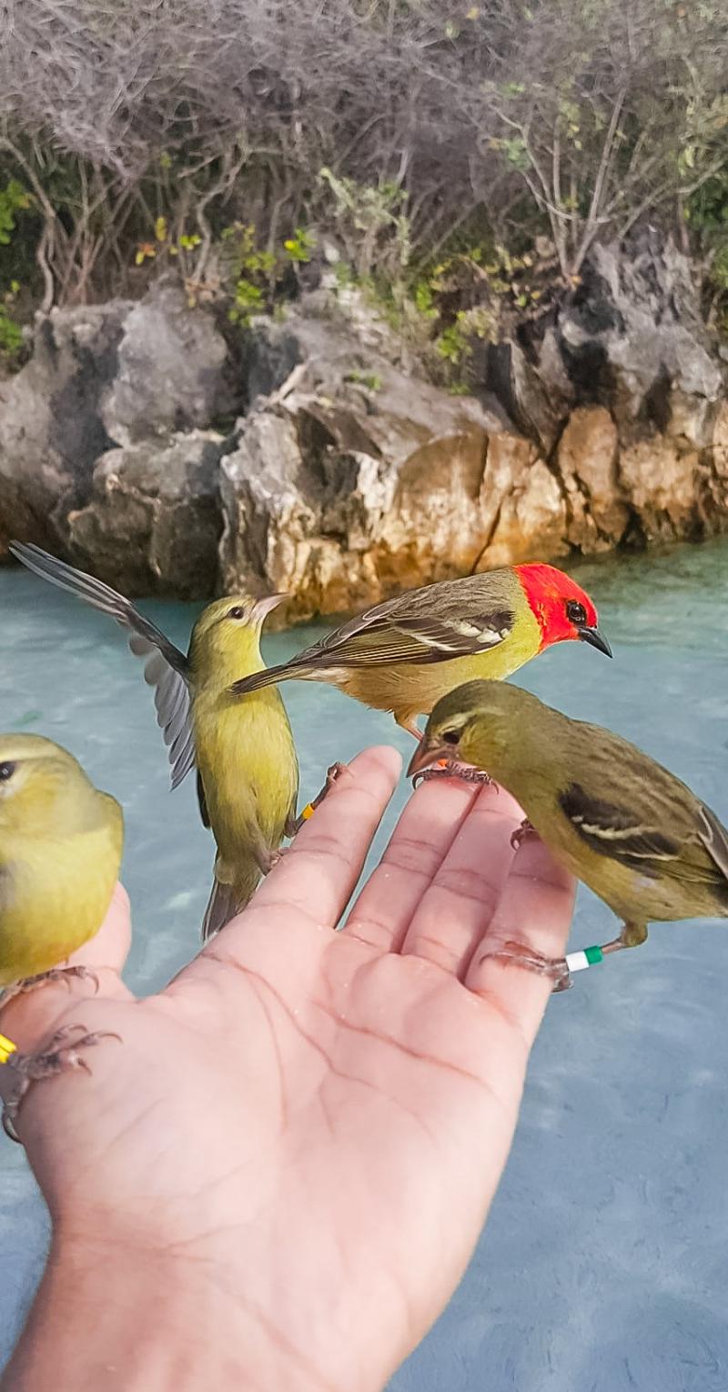 follow-me-mauritius-style.jpg