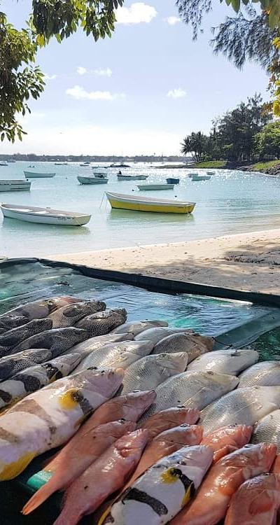 Grand Baie Village Beach photo 3