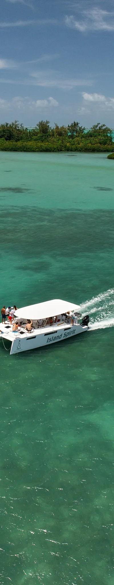 Discovery of the South East Lagoon on shared basis onboard Power Catamaran Beach photo 4