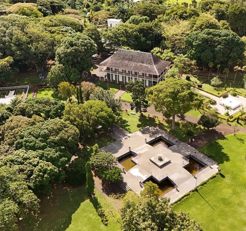 historic-botanical-garden-in-pamplemousses-mauritius.webp
