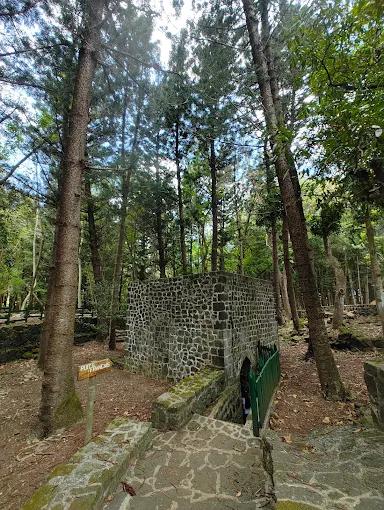 Historic ruins surrounded by forest inside Bras d’Eau National Park Mauritius