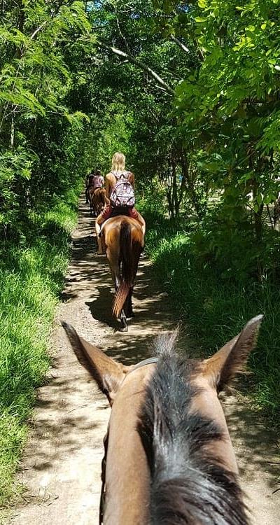 Horse Riding at Le Morne Beach photo 2