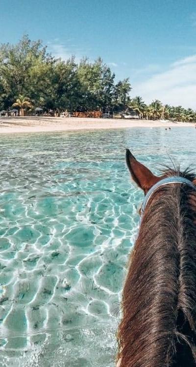 Horse Riding at Le Morne Beach photo 4