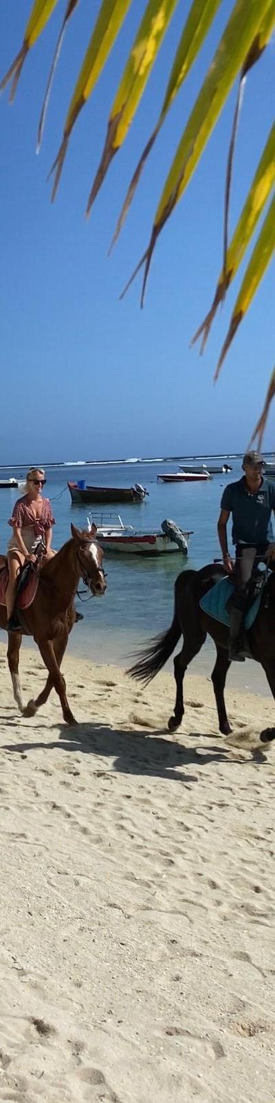Horse Riding on the Beach in Mauritius: Best Places, Stables, Scenic Routes and Local Tips