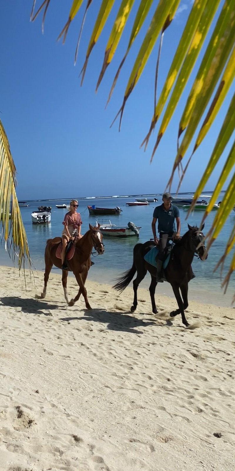 horse-riding-on-the-beach-at-le-morne-in-mauritius--haras-du-morne.jpeg