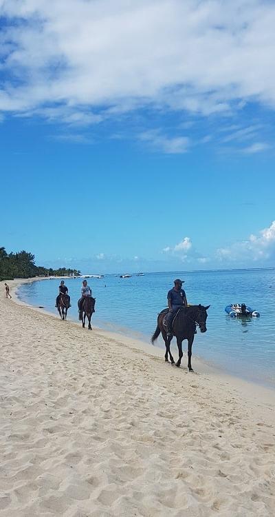Horse Riding at Le Morne Beach photo 5