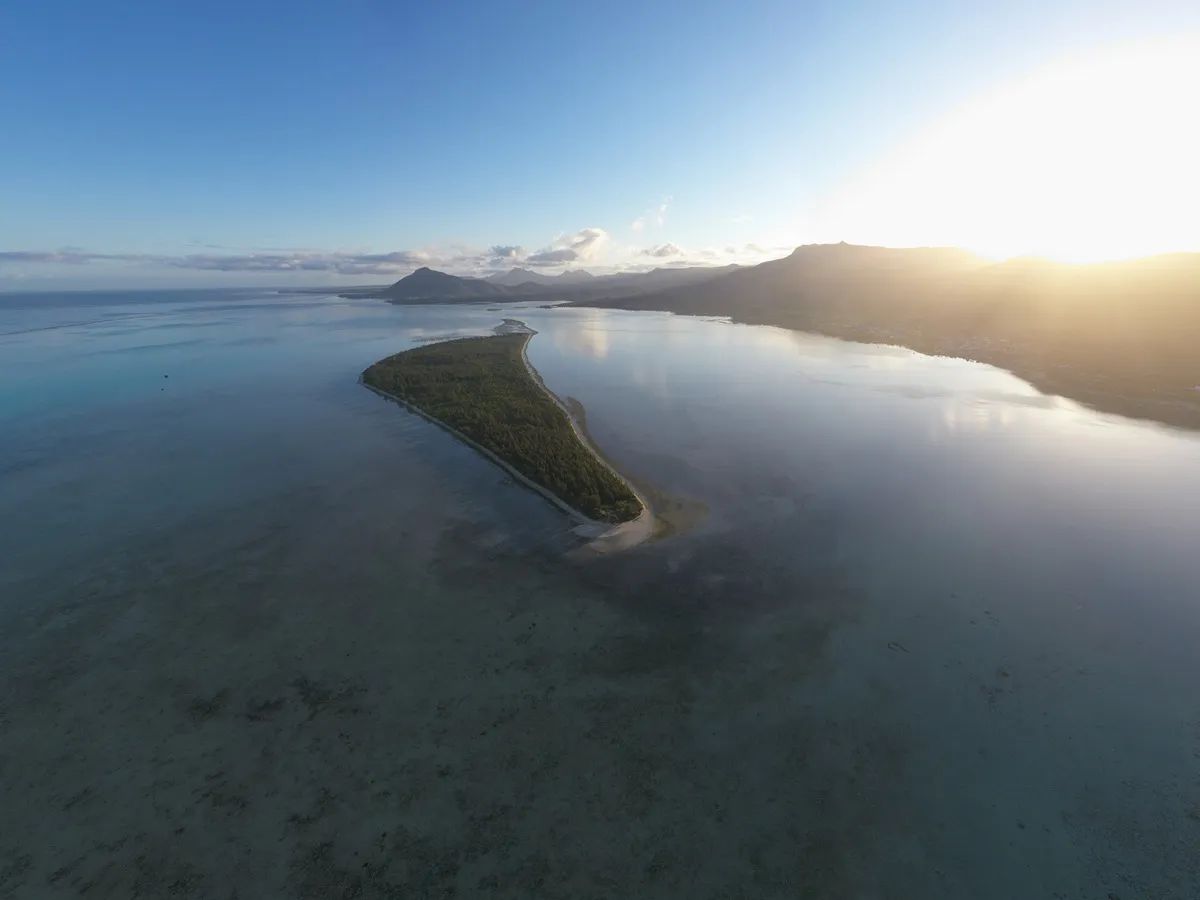 ile-aix-benitiers-morning-from-above.webp