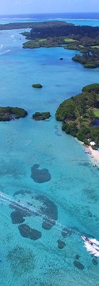 Île aux Cerfs Regeneration