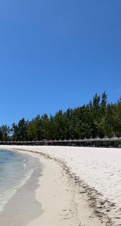 Full Day Private charter to Ile aux Cerfs Beach photo 6