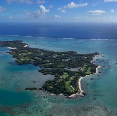 Île aux Cerfs Regeneration