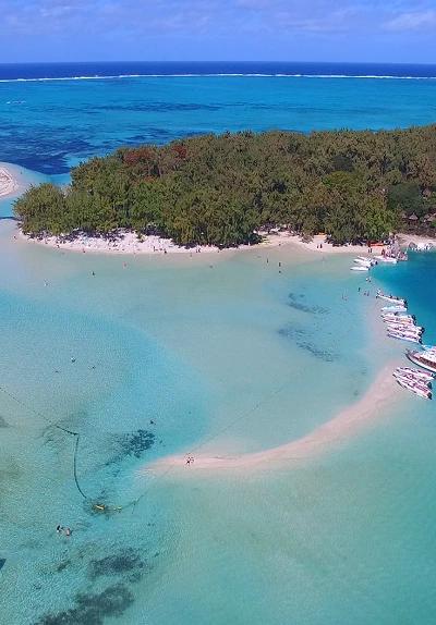 Discovery of the South East Lagoon onboard a Private Power Catamaran Beach photo 3