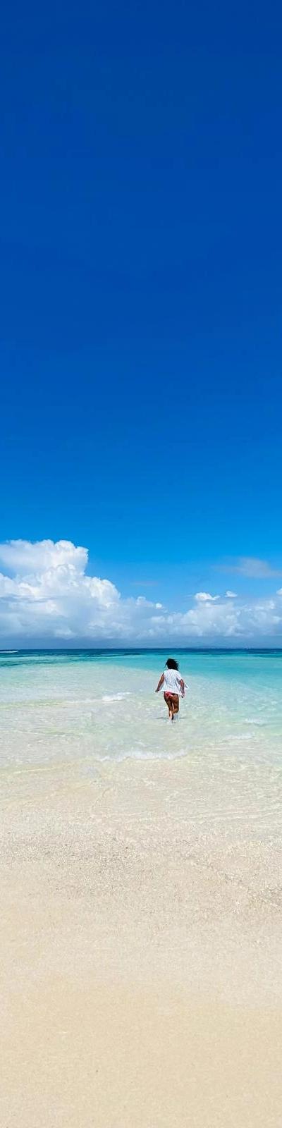 Ilot Gabriel & Ile Plate Beach photo 12