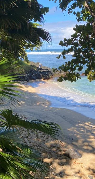 Telfair Garden Beach photo 3