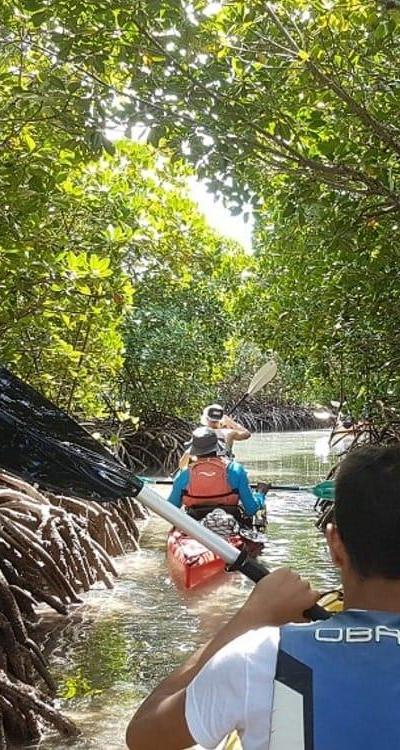 Kayaking Tour - Ile d'Ambre Beach photo 1