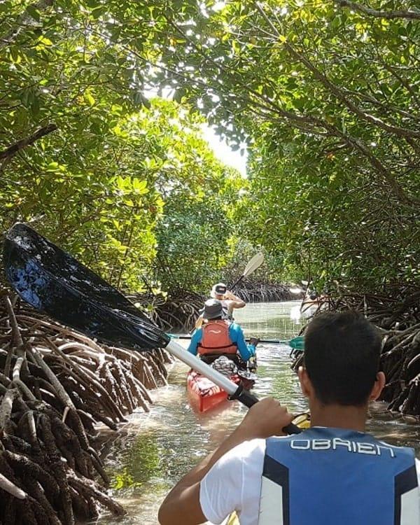 Kayaking Tour - Ile d'Ambre