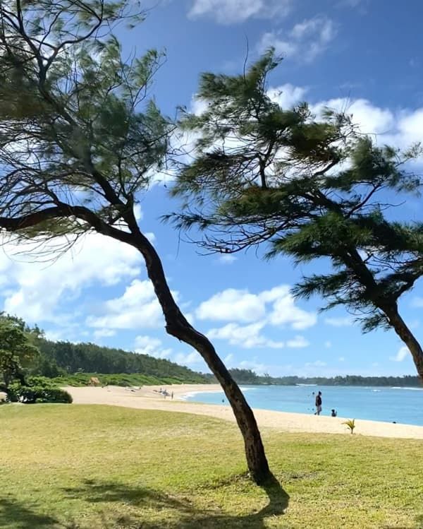 La Cambuse Mauritius photo, capturing a quiet beach landscape with blue water, tropical greenery and natural coastal views.