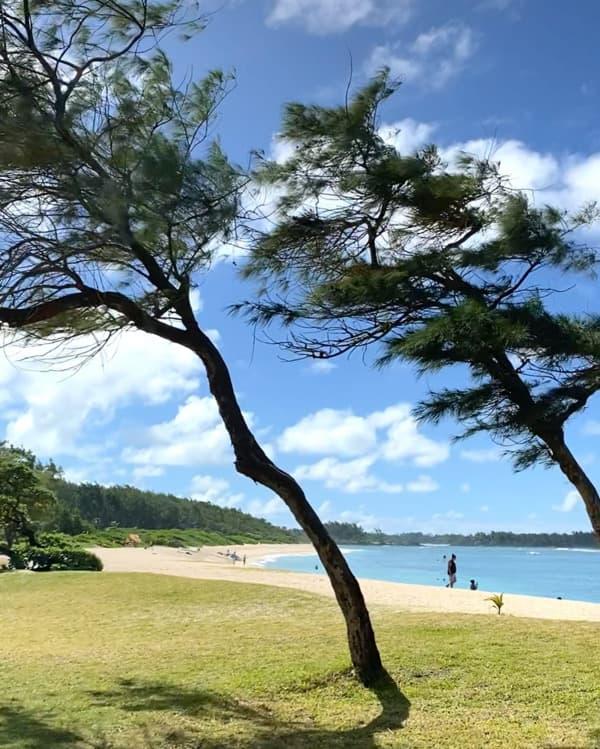 La Cambuse Beach photo 4