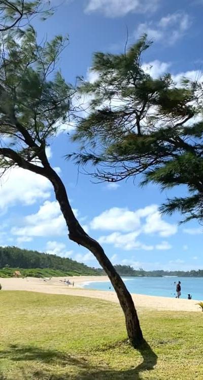 La Cambuse Beach photo 4