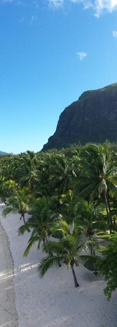 Le Morne Beach photo 8