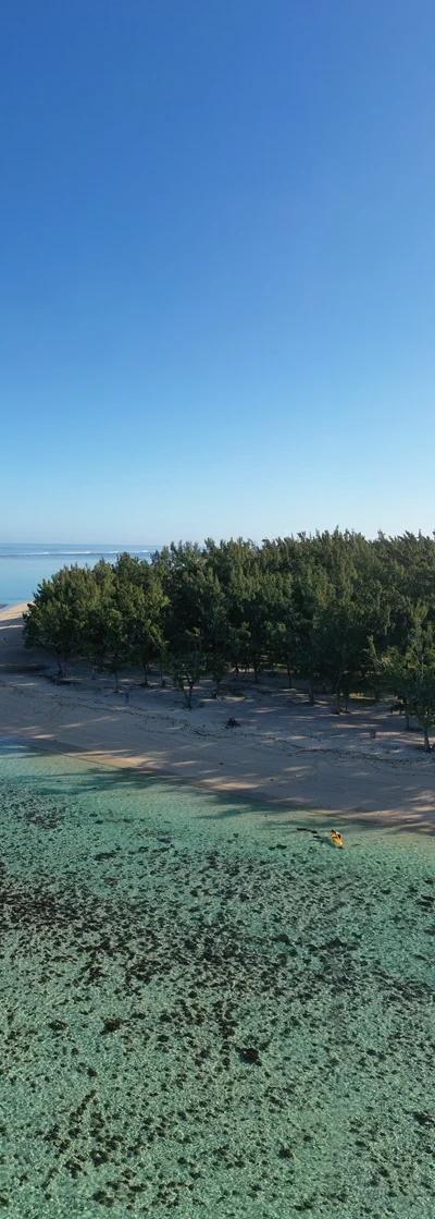 Le Morne La Pointe Beach photo 4